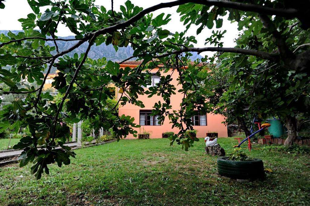 Apartments Vido Kotor Extérieur photo