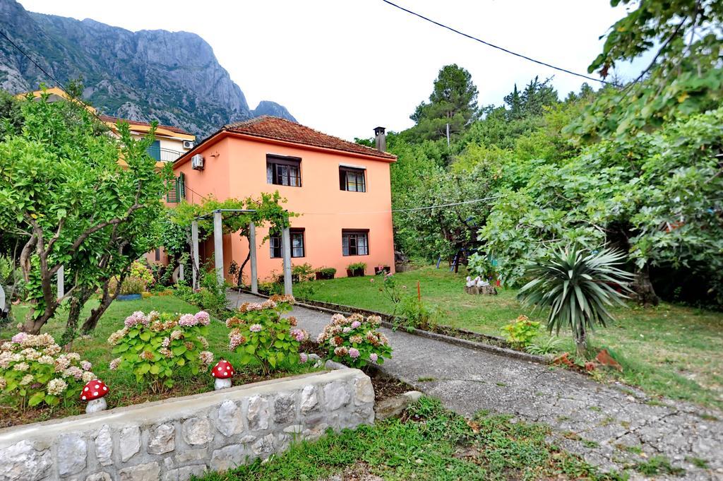 Apartments Vido Kotor Extérieur photo